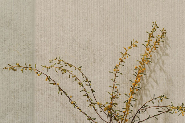 WieserDesignPhotos-11 (4)